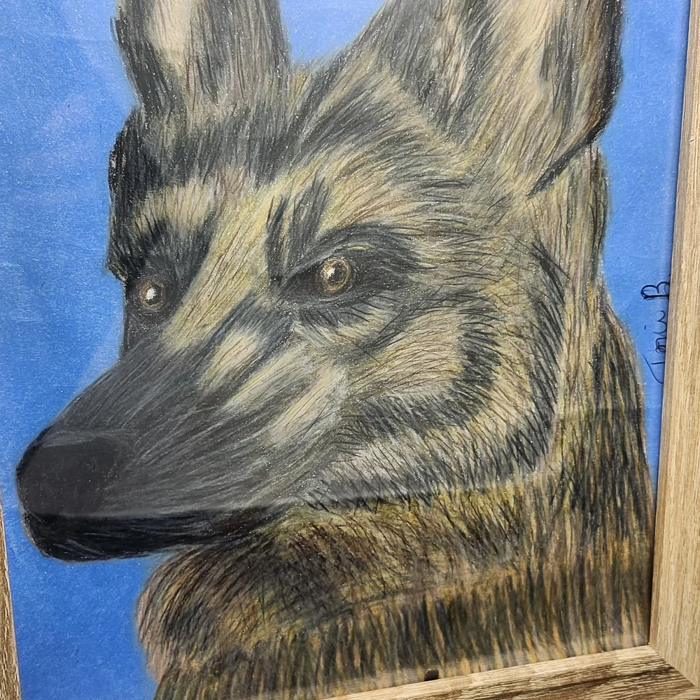 Hand Crafted Framed German Shepherd Colored Pencil Drawing